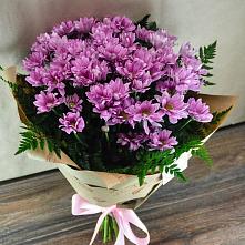Букет цветов из:  Хризантемы #REPLACE_PRED# Туапсе