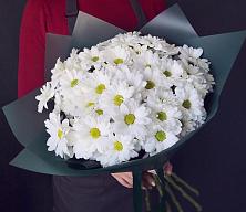 Букет цветов из:  Хризантемы #REPLACE_PRED# Туапсе