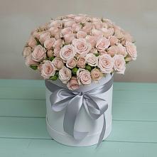 Цветочная композиция из Розы в шляпной коробке #REPLACE_PRED# Туапсе