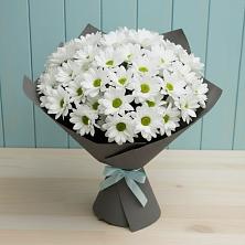 Букет цветов из:  Хризантемы в Туапсе