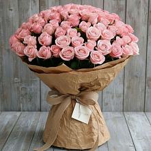 Букет 151 Роза Роуз в Туапсе