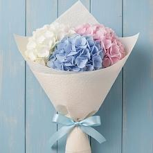 Букет цветов из:  Гортензия #REPLACE_PRED# Туапсе