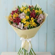Букет цветов из:  Альстромерии в Туапсе