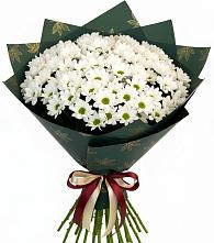 Букет цветов из:  Хризантемы в Туапсе