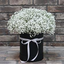 Цветочная композиция из Гипсофила в шляпной коробке в Туапсе