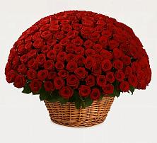 Премиум букет из: Розы в Туапсе