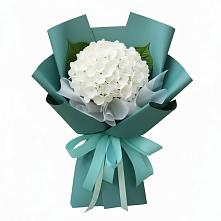 Букет цветов из:  Гортензия в Туапсе